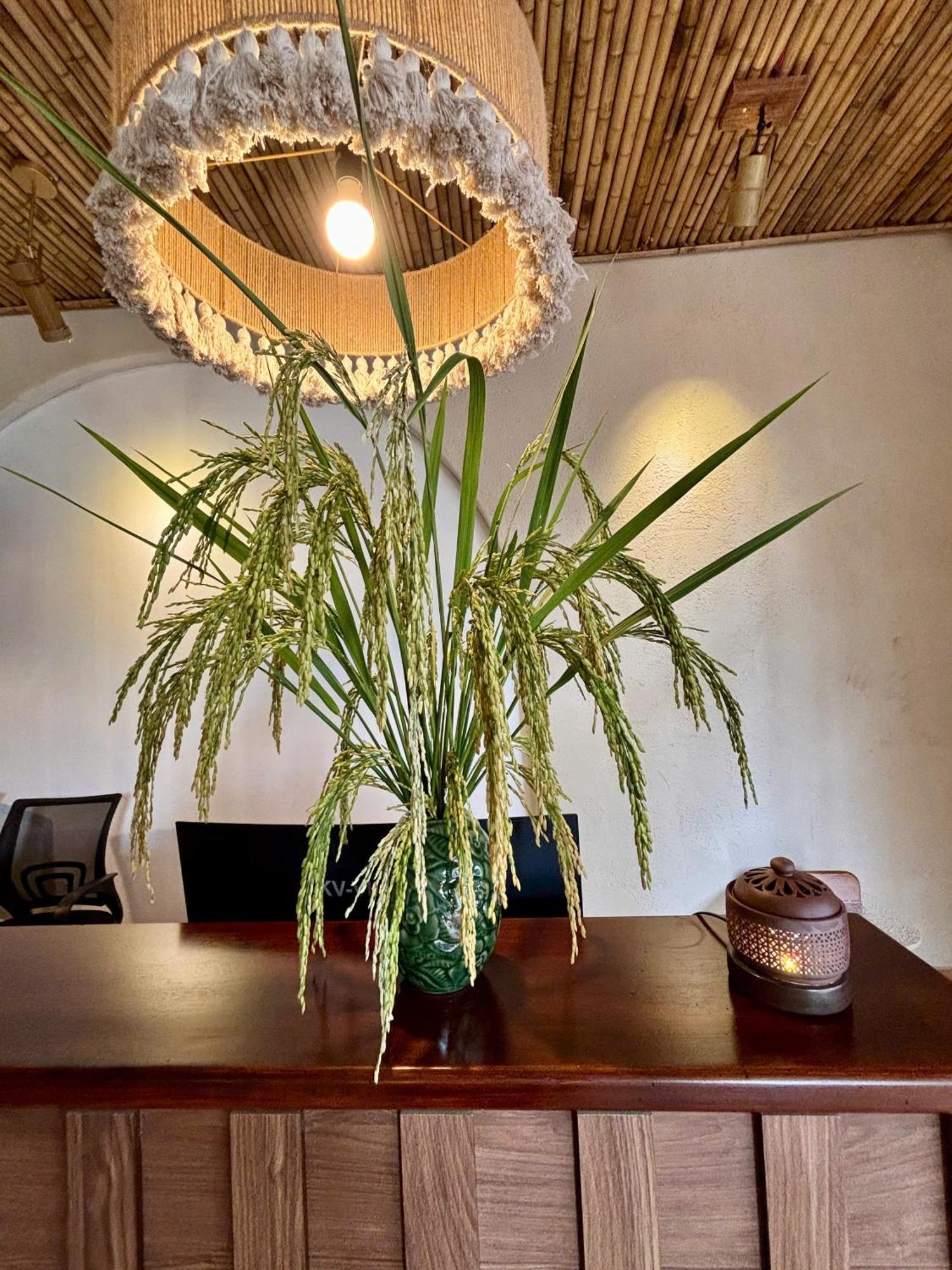 Truong Giang Boutique Hotel Lang Mon Ngoại thất bức ảnh